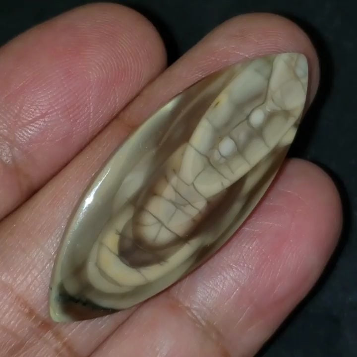 Natural Imperial Jasper Cabochon 43x18mm