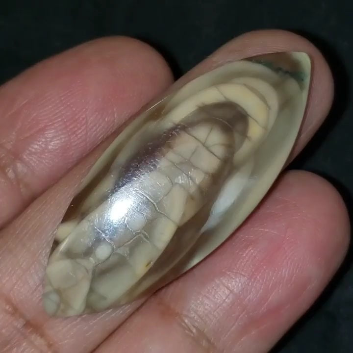 Natural Imperial Jasper Cabochon 43x18mm