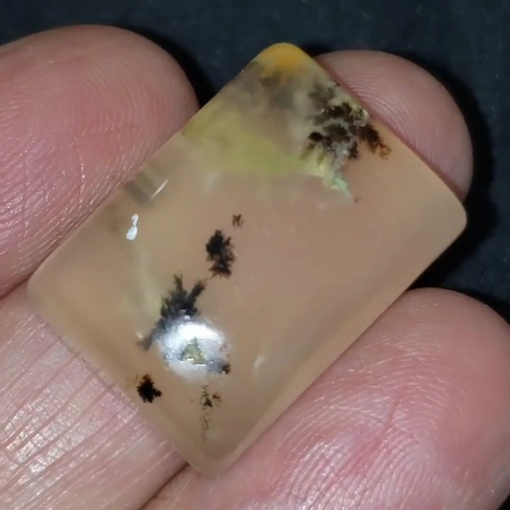 Natural Russian Dendritic Agate Cabochon 24x17mm