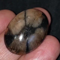 Thumbnail for Natural Chiastolite/Andalusite Cross Stone Cabochon 30x22mm