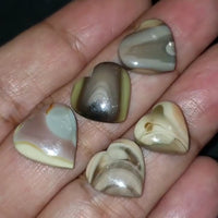 Thumbnail for Natural Imperial Jasper Heart Cabochons Length range 13 to 15mm