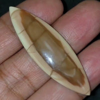 Thumbnail for Natural Imperial Jasper Cabochon 50x16mm