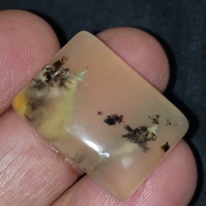 Natural Russian Dendritic Agate Cabochon 24x17mm