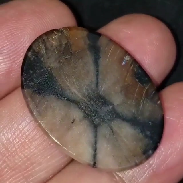 Natural Chiastolite/Andalusite Cross Stone Cabochon 30x22mm