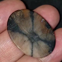 Thumbnail for Natural Chiastolite/Andalusite Cross Stone Cabochon 30x22mm