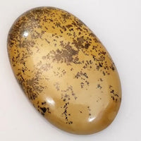 Thumbnail for Natural Yellow Dendritic Jasper Cabochon