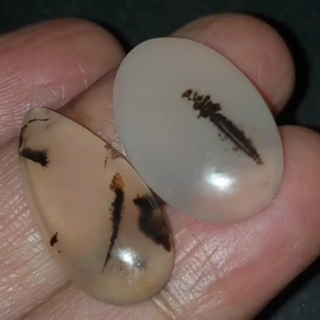 ​Natural Russian Dendritic Agate Cabochons Lengths are 26 and 24mm