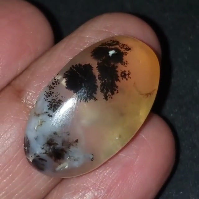 Natural Russian Dendritic Agate Cabochon 27x17mm