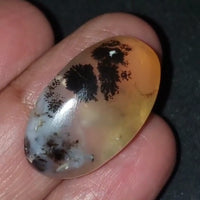 Thumbnail for Natural Russian Dendritic Agate Cabochon 27x17mm