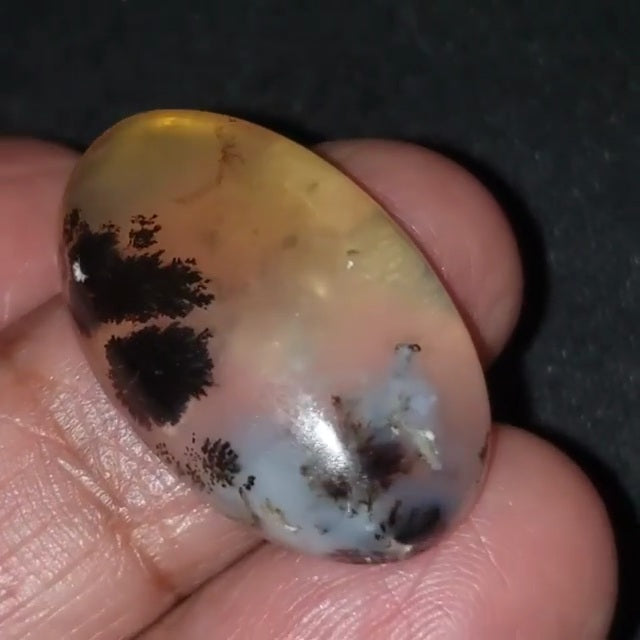 Natural Russian Dendritic Agate Cabochon 27x17mm