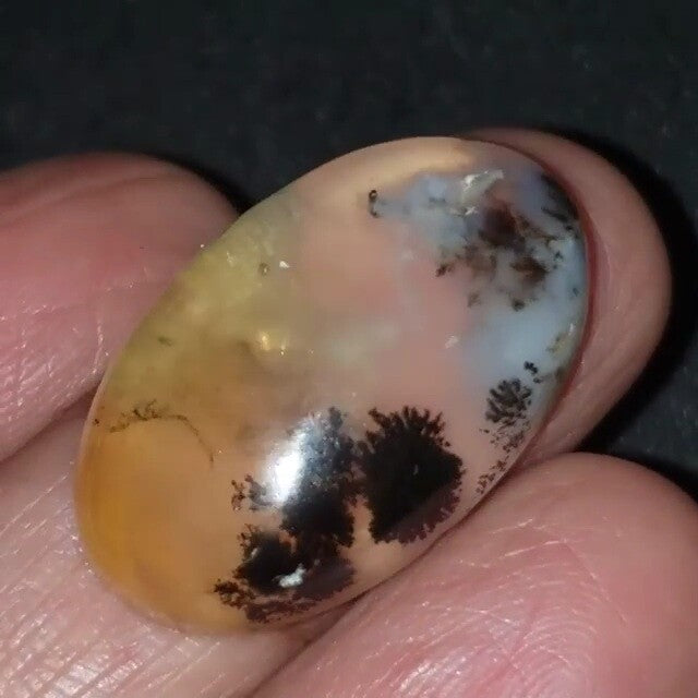 Natural Russian Dendritic Agate Cabochon 27x17mm