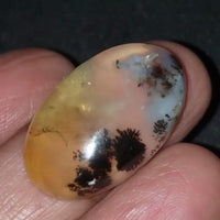 Thumbnail for Natural Russian Dendritic Agate Cabochon 27x17mm