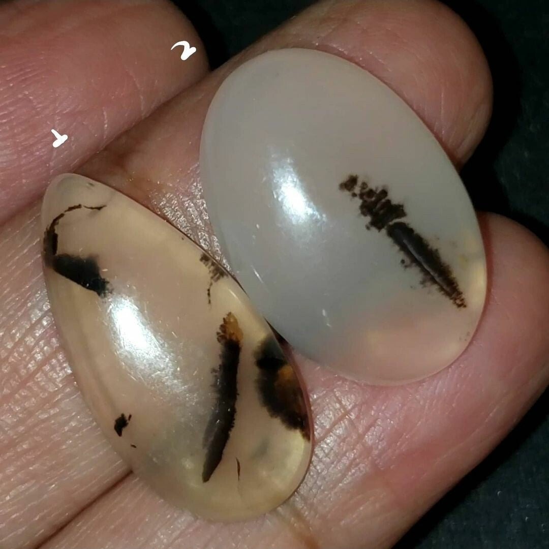 ​Natural Russian Dendritic Agate Cabochons Lengths are 26 and 24mm