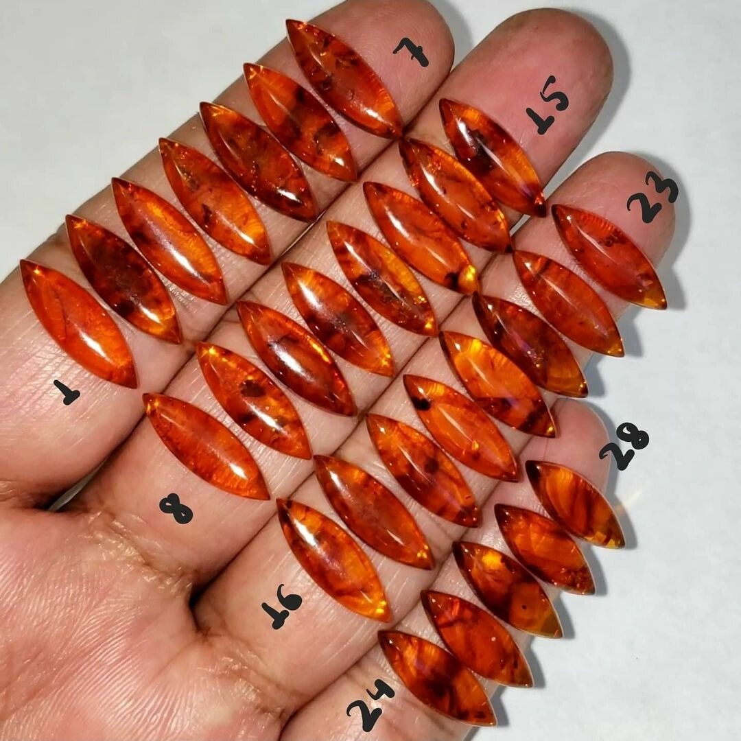 Natural Baltic Amber Cabochons 18x6x3.57mm