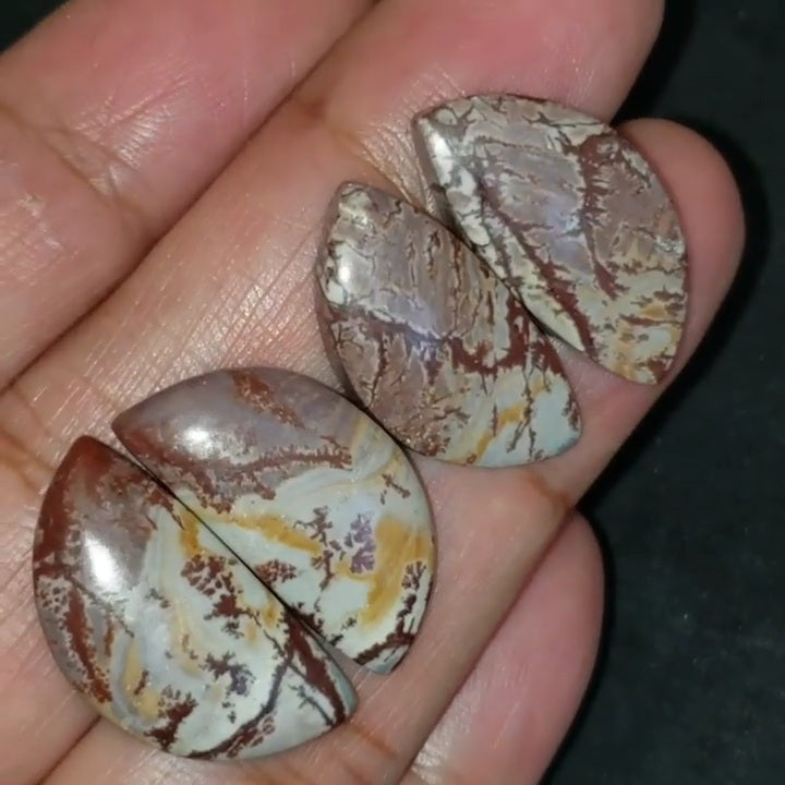 Natural Sonoran Dendritic Jasper Cabochon Pairs