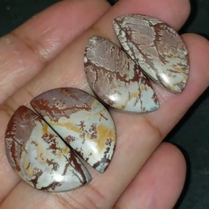 Natural Sonoran Dendritic Jasper Cabochon Pairs