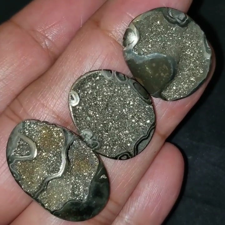 RARE Natural Russian Pyritized Ammonite Fossil Length range is 24 to 28mm