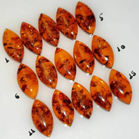 Thumbnail for Natural Baltic Amber Cabochons 18x9x5mm