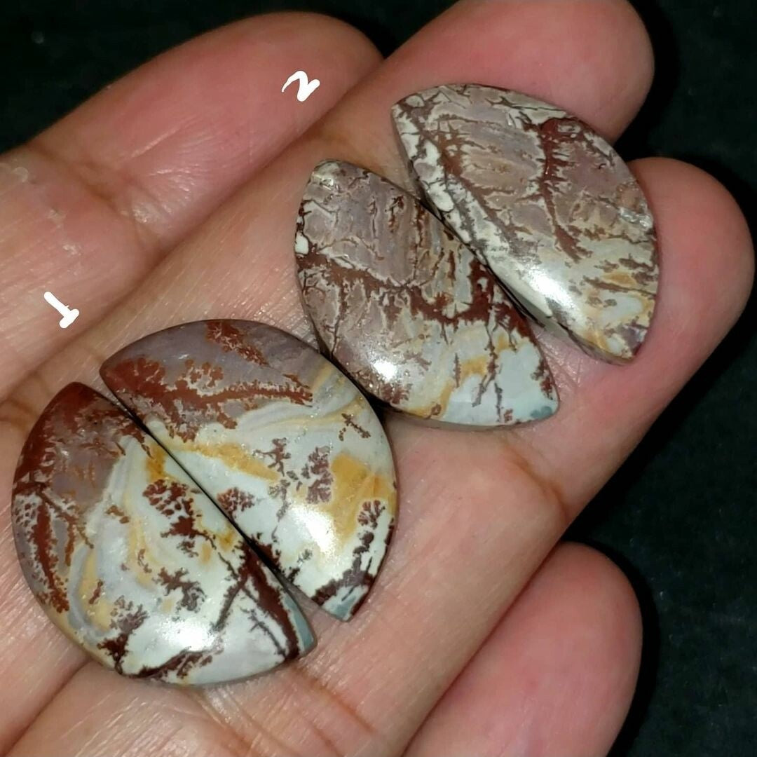 Natural Sonoran Dendritic Jasper Cabochon Pairs