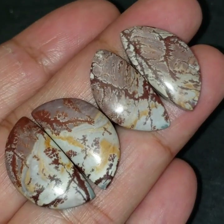 Natural Sonoran Dendritic Jasper Cabochon Pairs