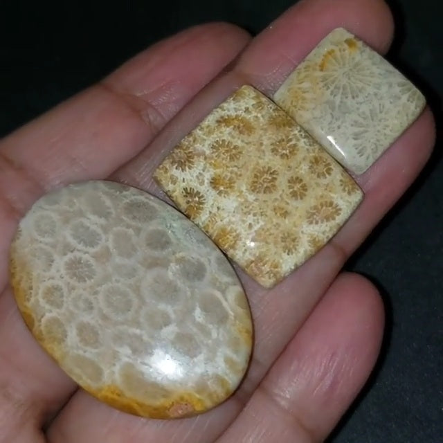 ​Natural Agatized Cabochons