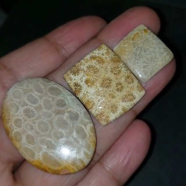 ​Natural Agatized Cabochons