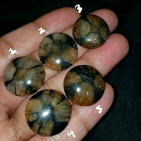 Thumbnail for Natural Chiastolite/Andalusite Cross Stone Cabochon Size range is 20 to 22mm