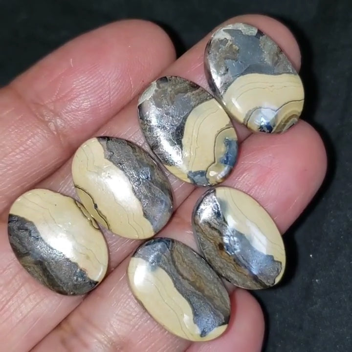 RARE! Natural Galena in Schalenblende Cabochon Pairs