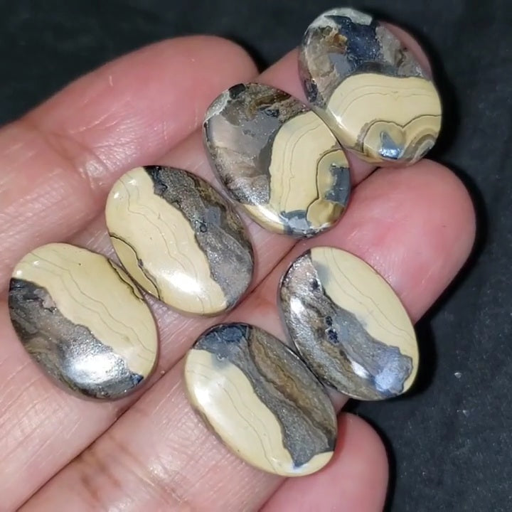 RARE! Natural Galena in Schalenblende Cabochon Pairs