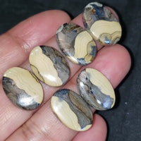 Thumbnail for RARE! Natural Galena in Schalenblende Cabochon Pairs