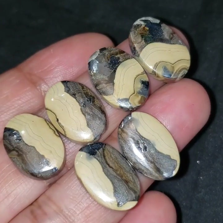 RARE! Natural Galena in Schalenblende Cabochon Pairs