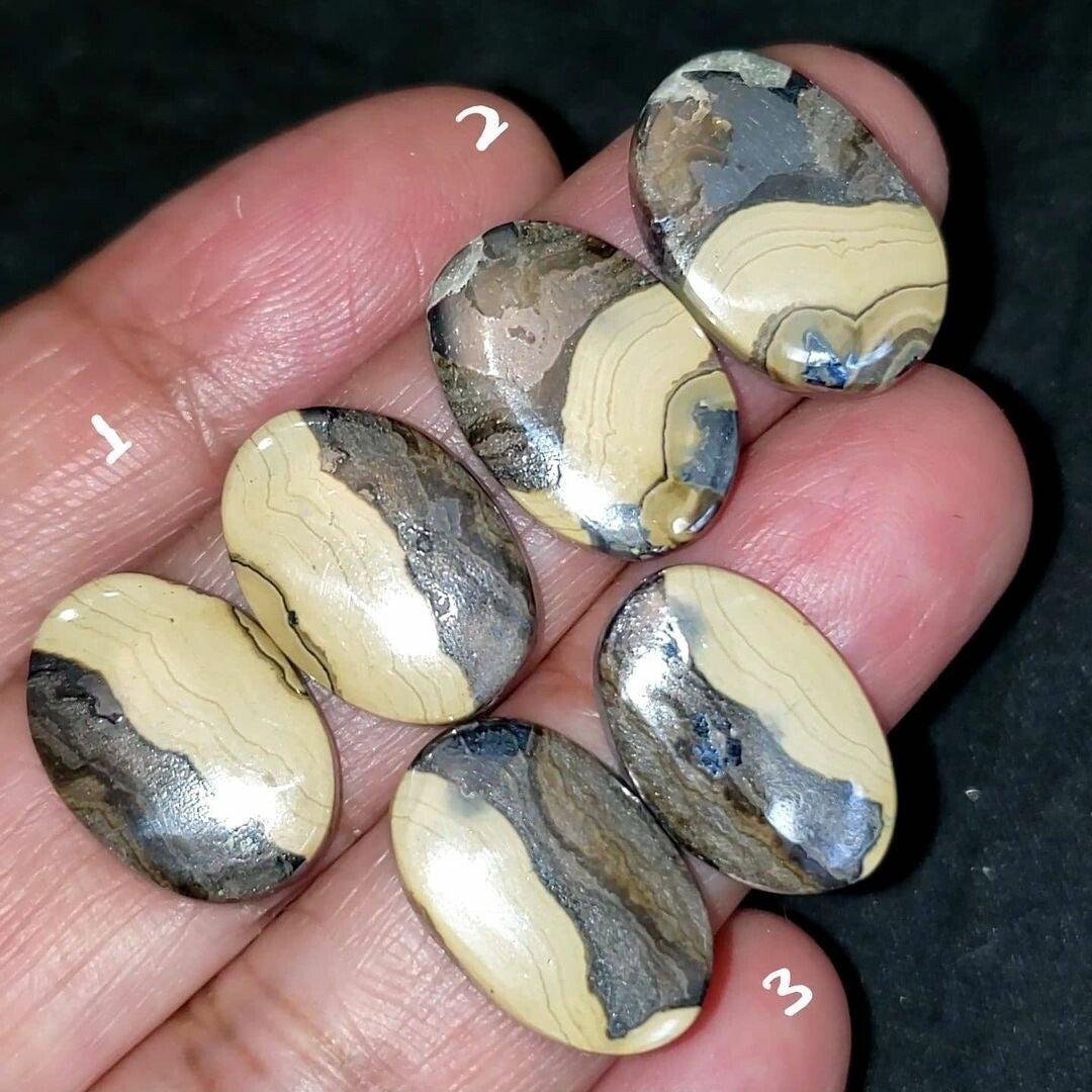 RARE! Natural Galena in Schalenblende Cabochon Pairs