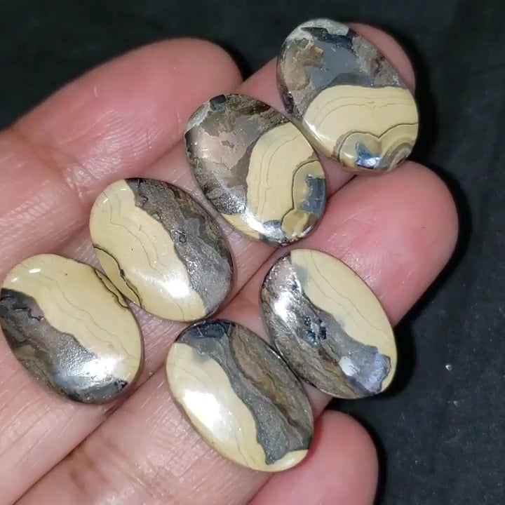 RARE! Natural Galena in Schalenblende Cabochon Pairs