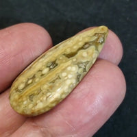 Thumbnail for Natural Ocean Jasper Cabochon 36x20mm