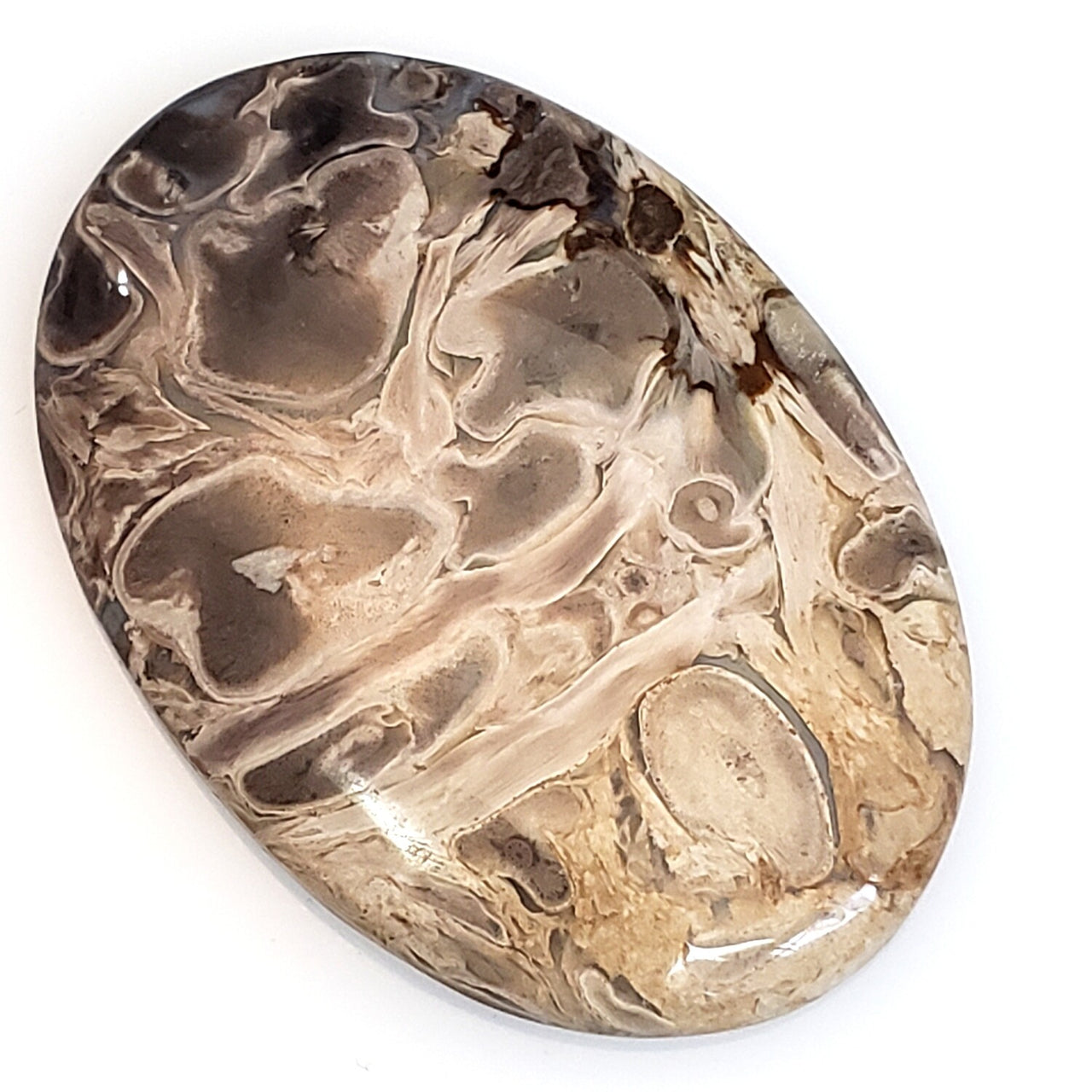 Natural Petrified Palm Root Agate Cabochon 45x31mm