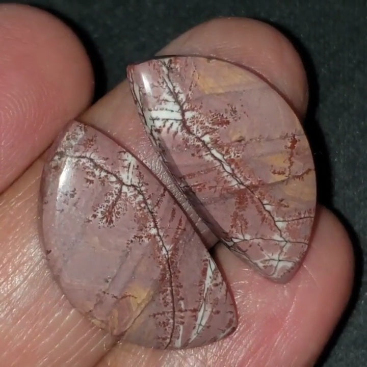 Natural Sonoran Dendritic Jasper Cabochon Pair 25x12mm