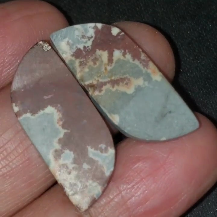 Natural Sonoran Dendritic Jasper Cabochon Pair