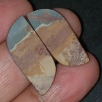 Thumbnail for Natural Sonoran Dendritic Jasper Cabochon Pair