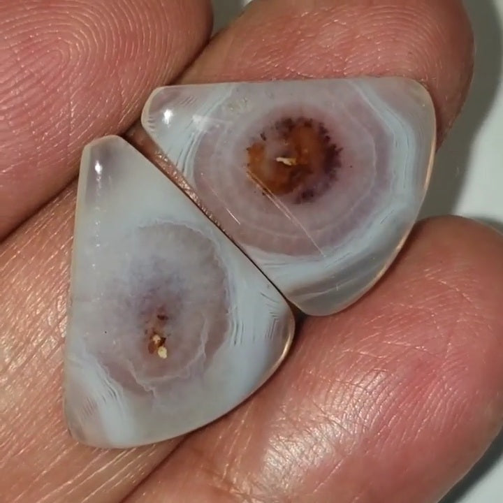 UNIQUE Natural Botswana Agate Cabochon Pair 20x17mm