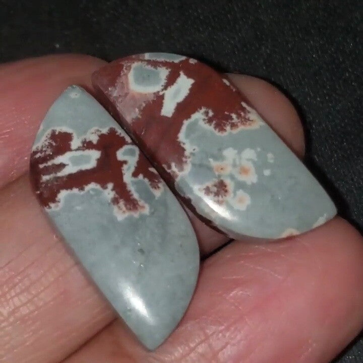 Natural Sonoran Dendritic Jasper Cabochon Pair