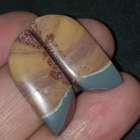 Thumbnail for Natural Sonoran Dendritic Jasper Cabochon Pair