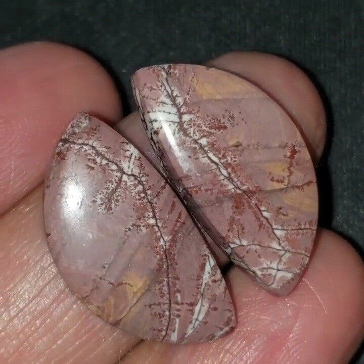 Natural Sonoran Dendritic Jasper Cabochon Pair 25x12mm