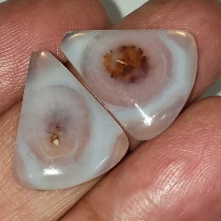 UNIQUE Natural Botswana Agate Cabochon Pair 20x17mm