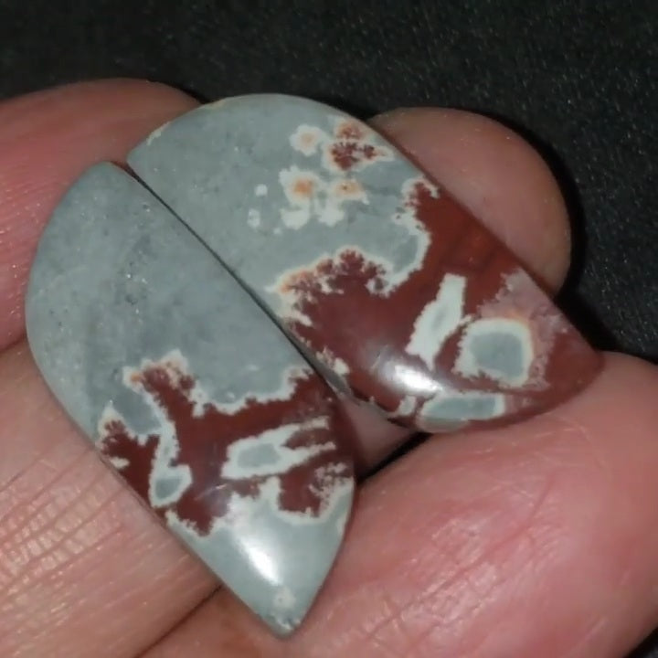 Natural Sonoran Dendritic Jasper Cabochon Pair