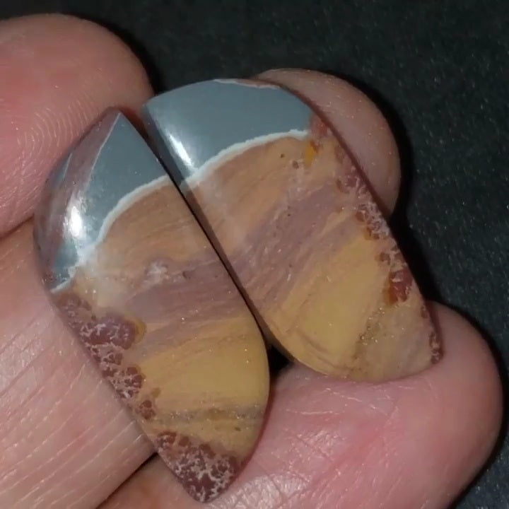 Natural Sonoran Dendritic Jasper Cabochon Pair