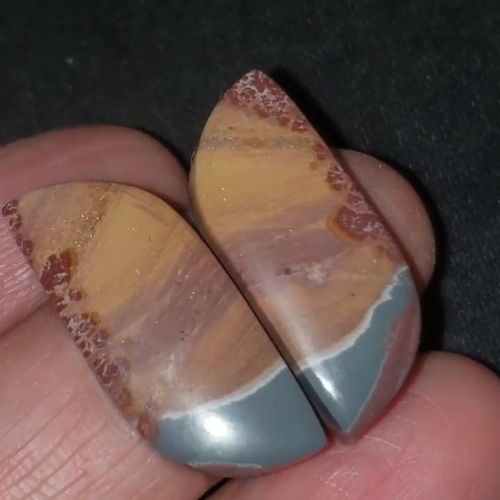 Natural Sonoran Dendritic Jasper Cabochon Pair