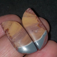 Thumbnail for Natural Sonoran Dendritic Jasper Cabochon Pair