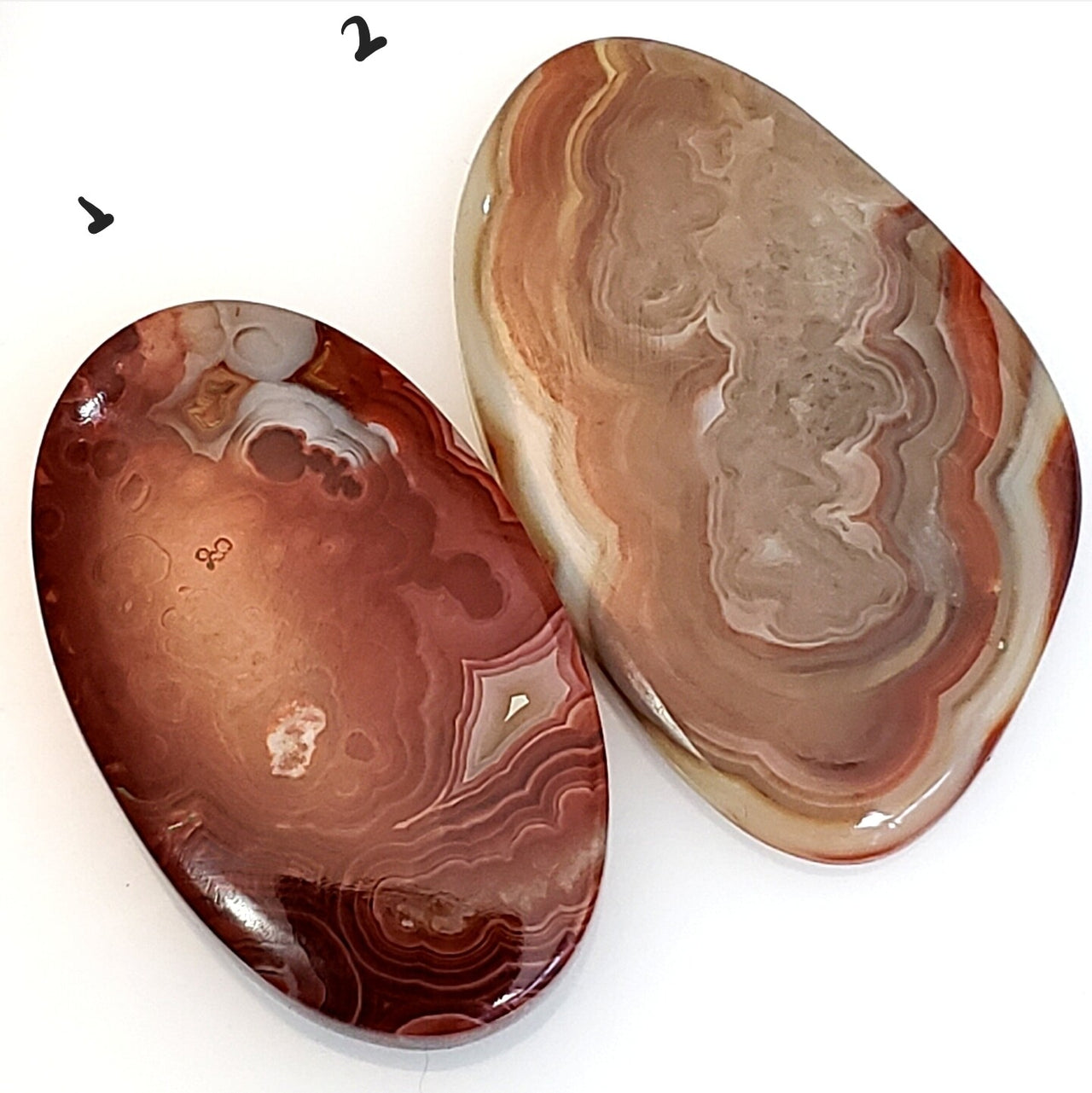 Natural Crazy Lace Agate Cabochons