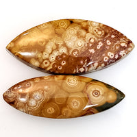 Thumbnail for Natural Ocean Jasper Cabochons. Lengths are 40 and 37mm