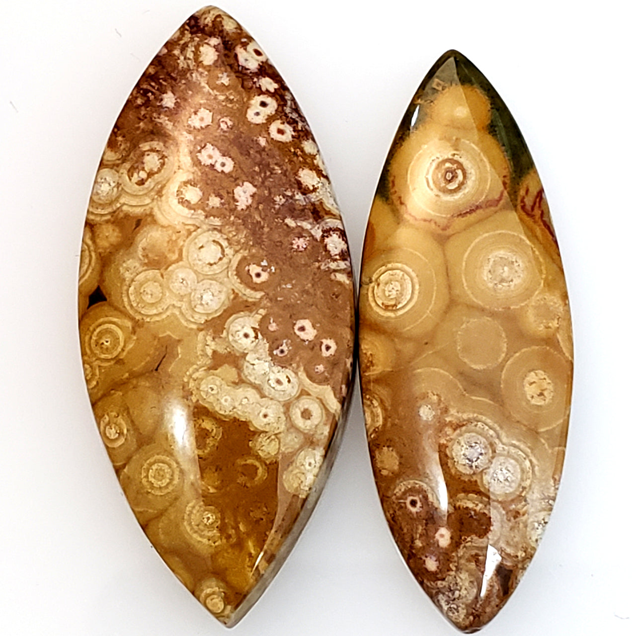 Natural Ocean Jasper Cabochons. Lengths are 40 and 37mm